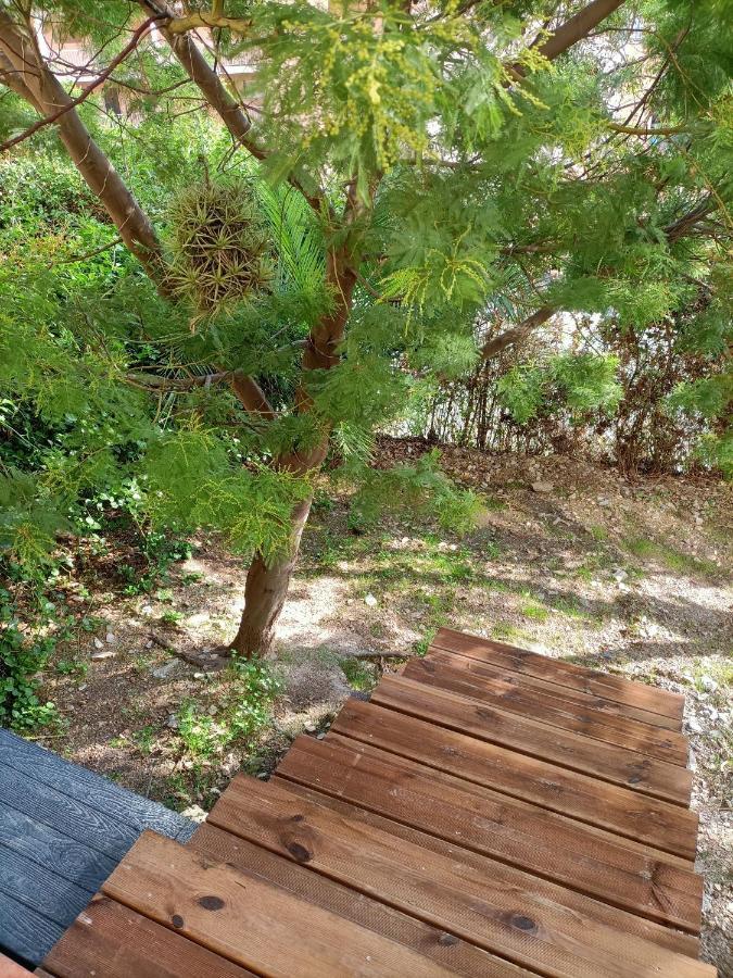 Appartement Proche Mer Avec Terrasse Et Jardin Privatif Hyeres Exterior photo